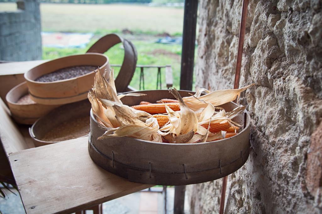 Don Carlo Agriturismo Di Charme Bio Villa Le Pioppe Ngoại thất bức ảnh