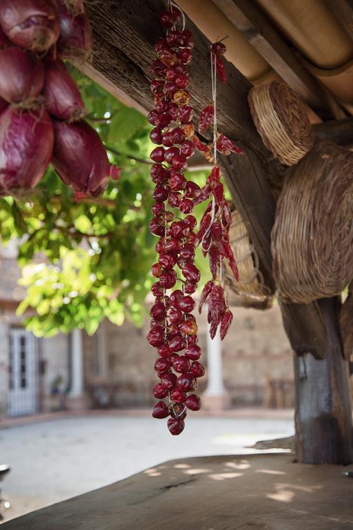 Don Carlo Agriturismo Di Charme Bio Villa Le Pioppe Ngoại thất bức ảnh