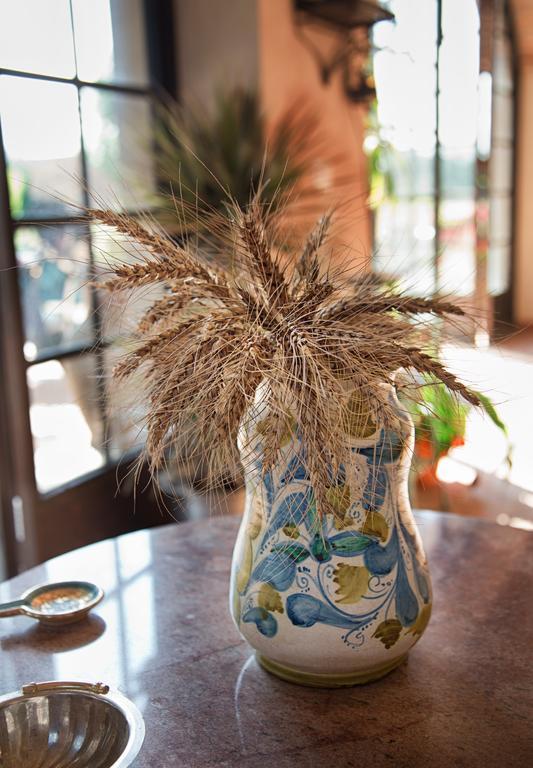 Don Carlo Agriturismo Di Charme Bio Villa Le Pioppe Ngoại thất bức ảnh