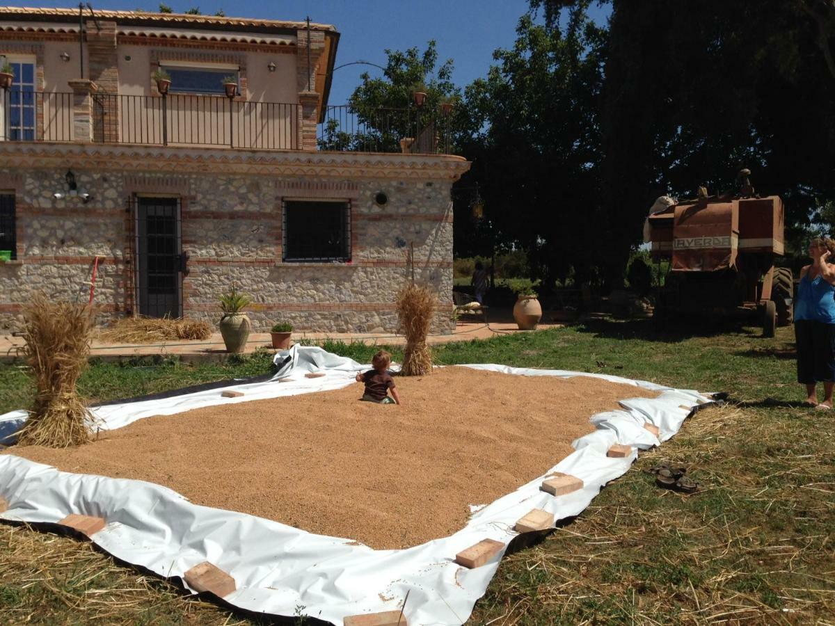Don Carlo Agriturismo Di Charme Bio Villa Le Pioppe Ngoại thất bức ảnh
